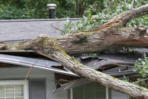 roof storm damage macon ga